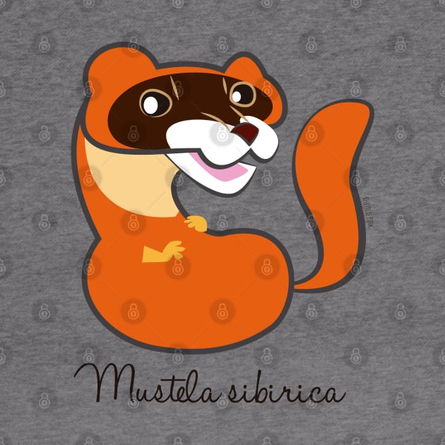 Siberian weasel Mustela sibirica by belettelepink